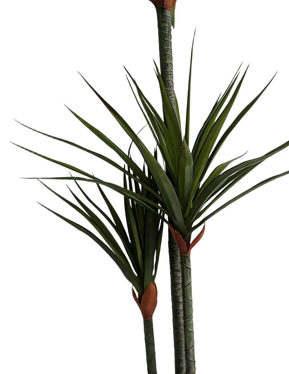 Acacia artificial 2