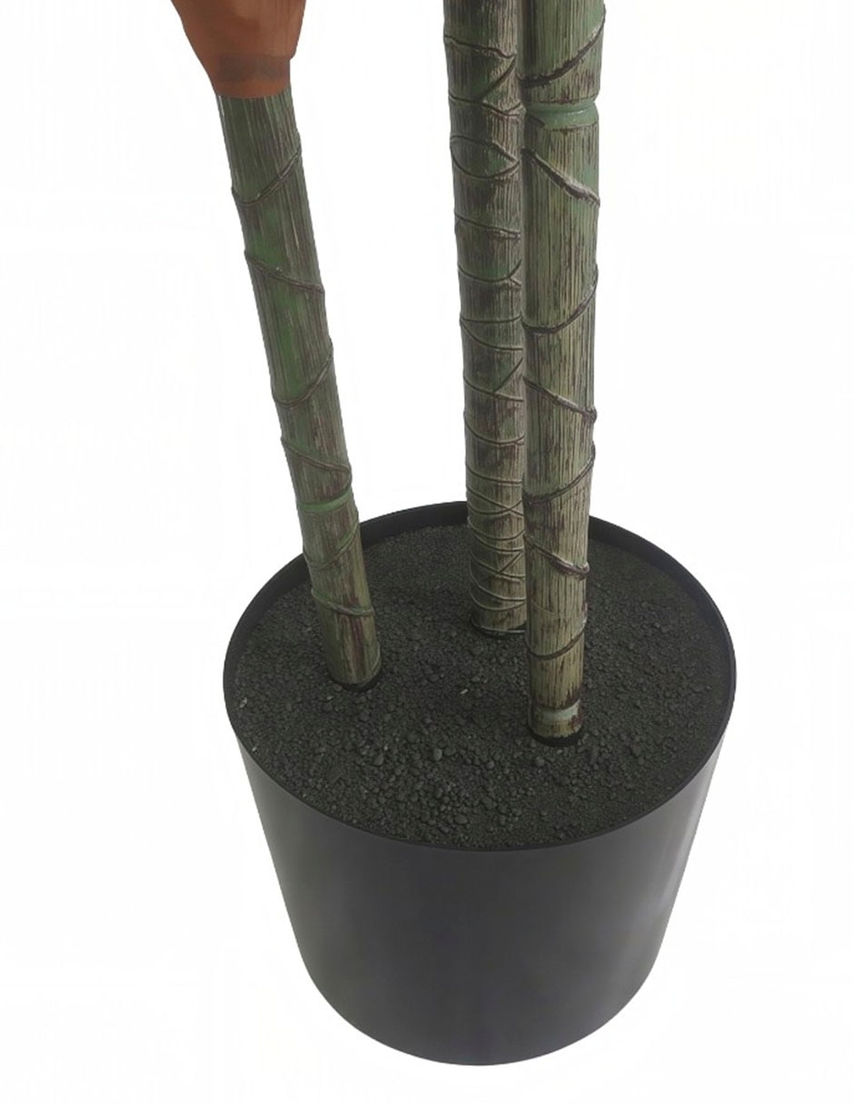 Acacia artificial 3