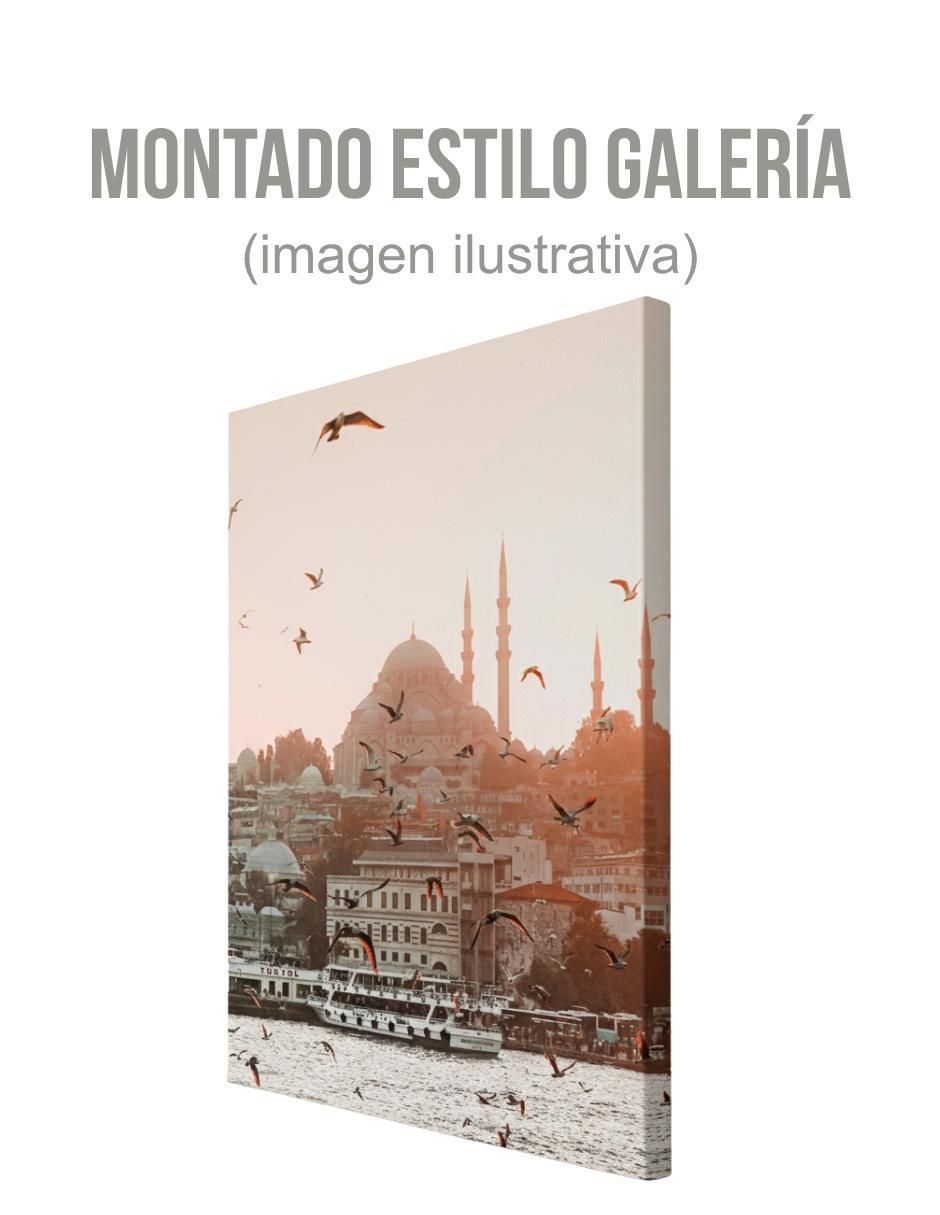 Cuadro decorativo generica paisaje estámbul