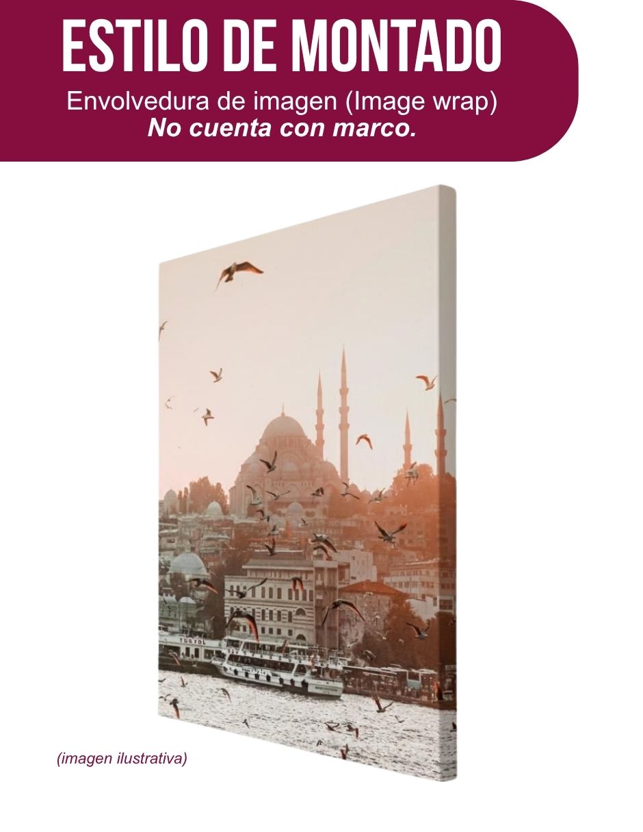 Cuadro decorativo generica paisaje estámbul
