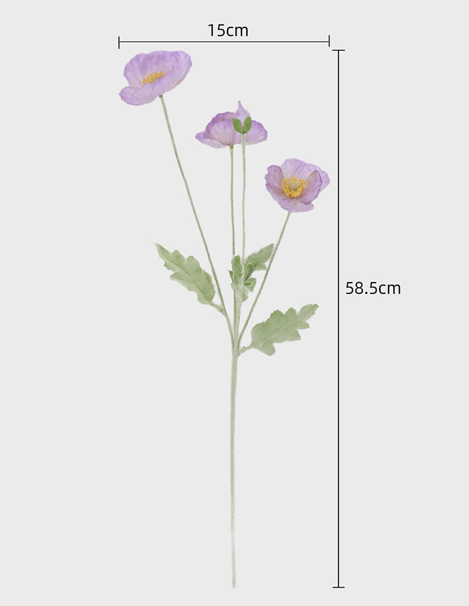 Flor de Amapola 4