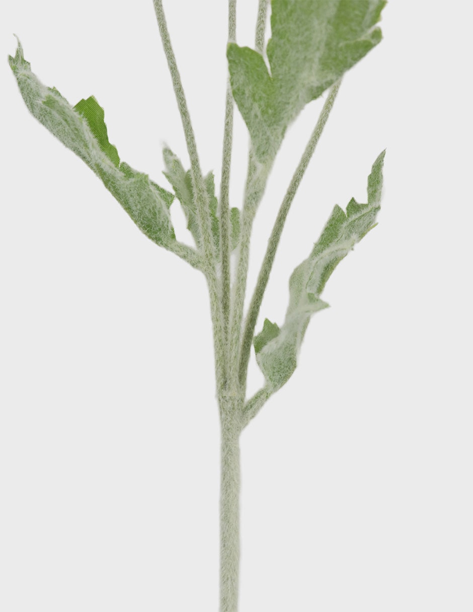 Flor de Amapola 3