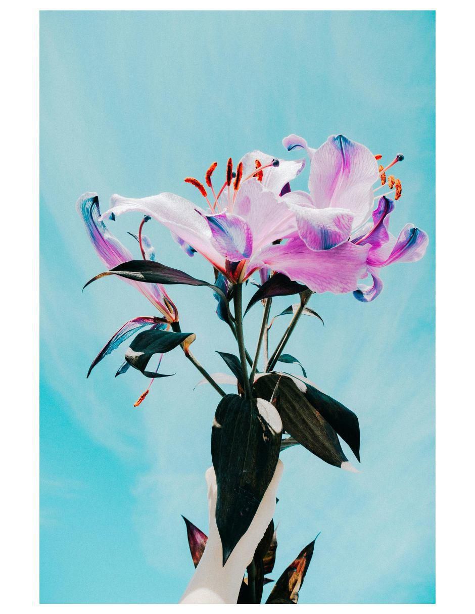 Cuadro decorativo 1