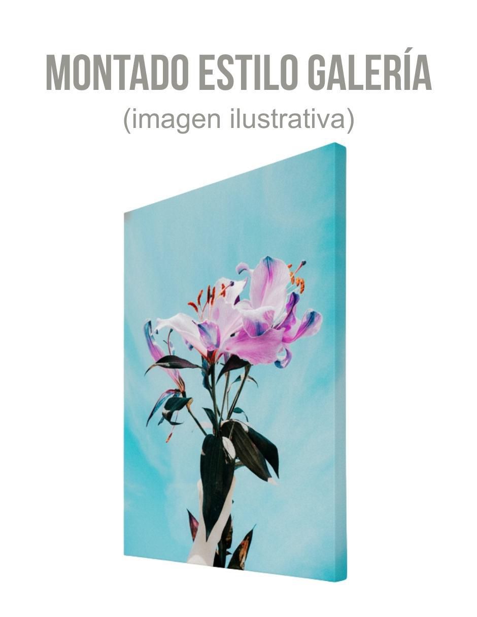 Cuadro decorativo 3