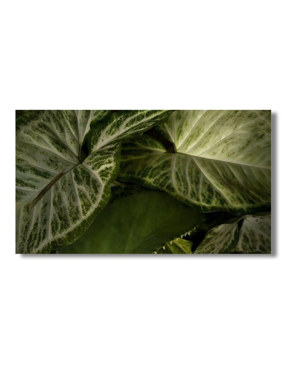 Cuadro decorativo 1