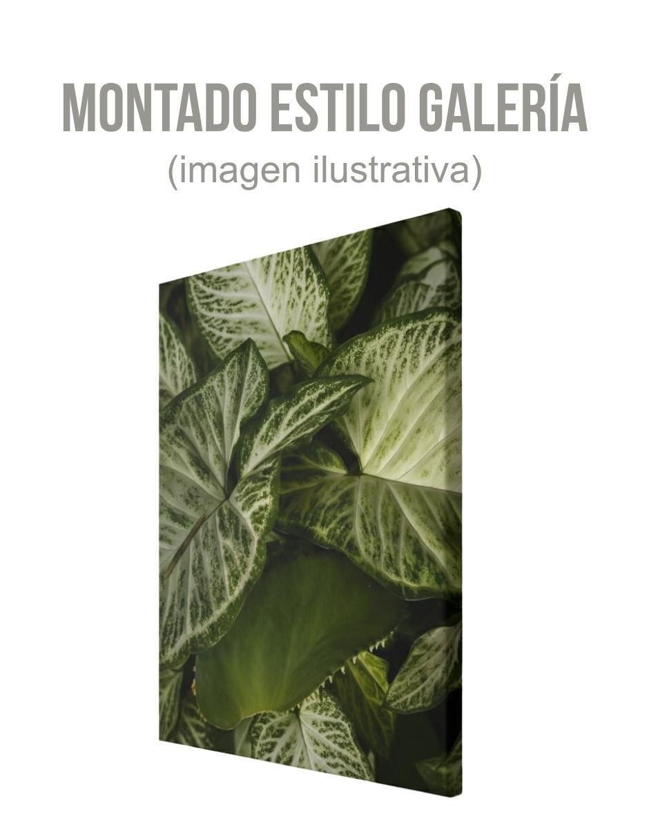 Cuadro decorativo 3