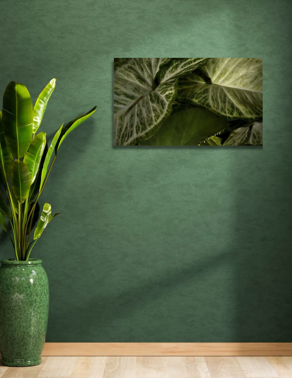 Cuadro decorativo 7