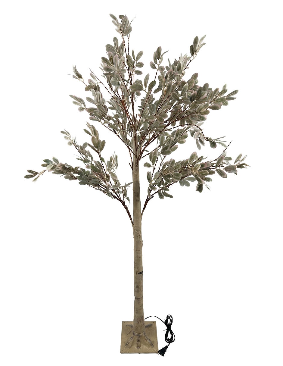 Árbol Aglaonema