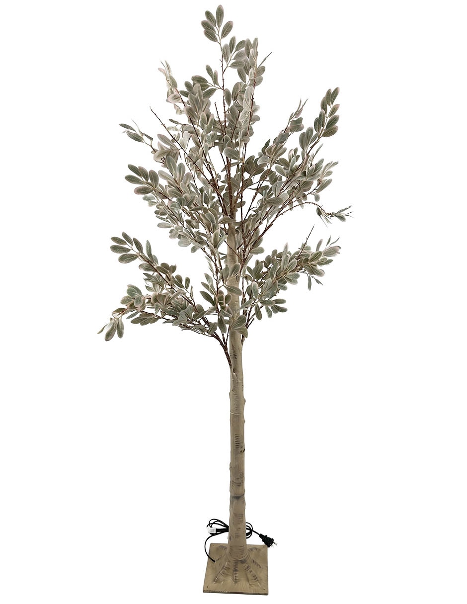 Árbol Aglaonema