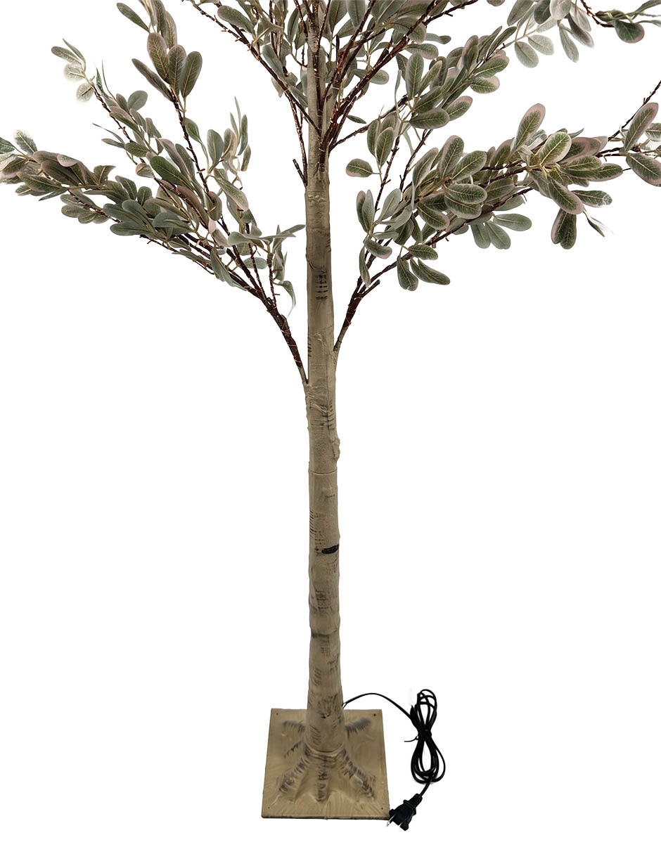 Árbol Aglaonema