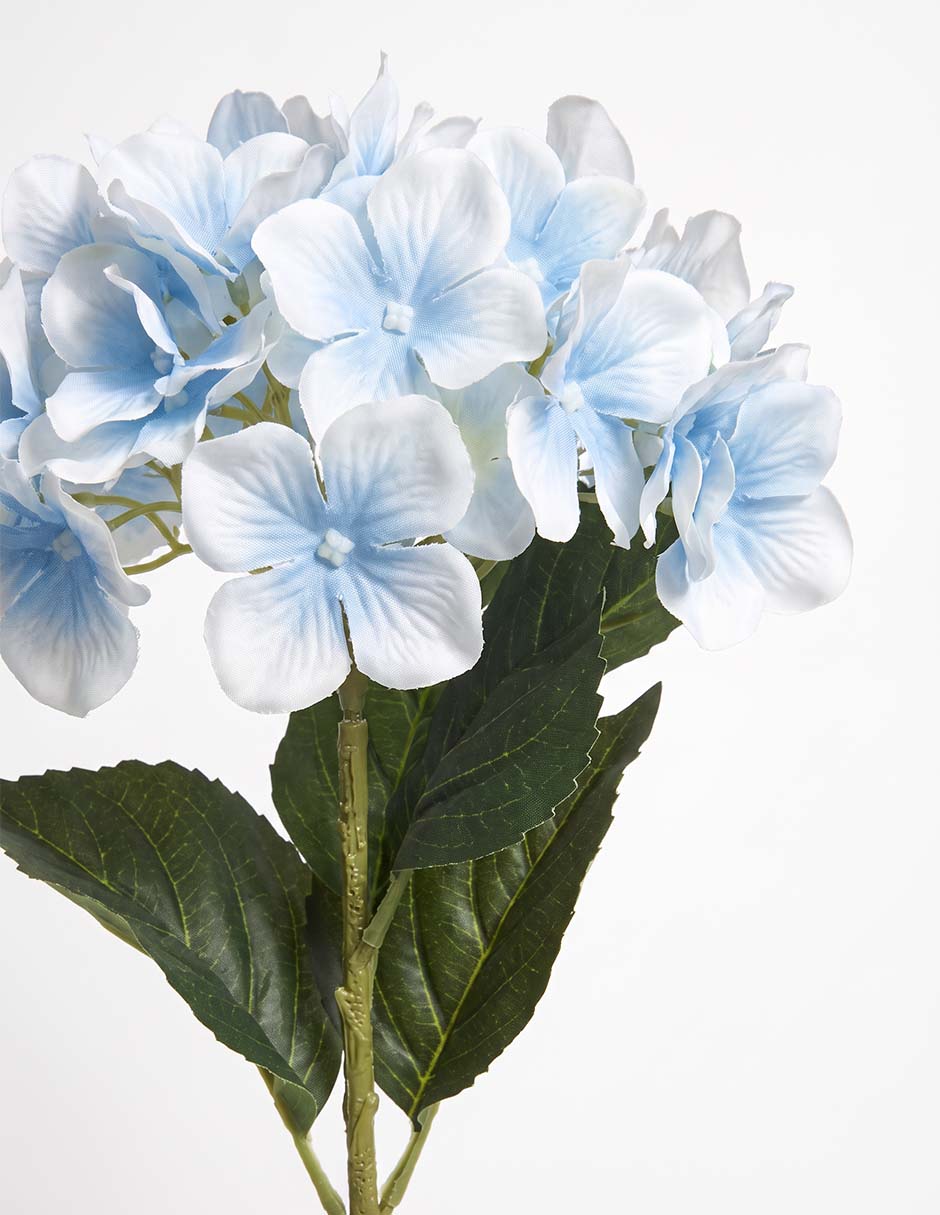 Flor de hortensia 2