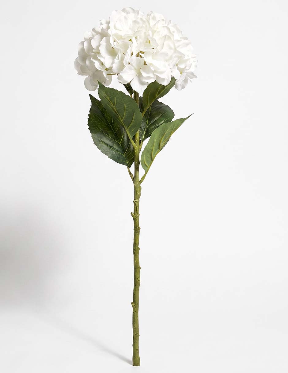Flor de hortensia Flor de hortensia
