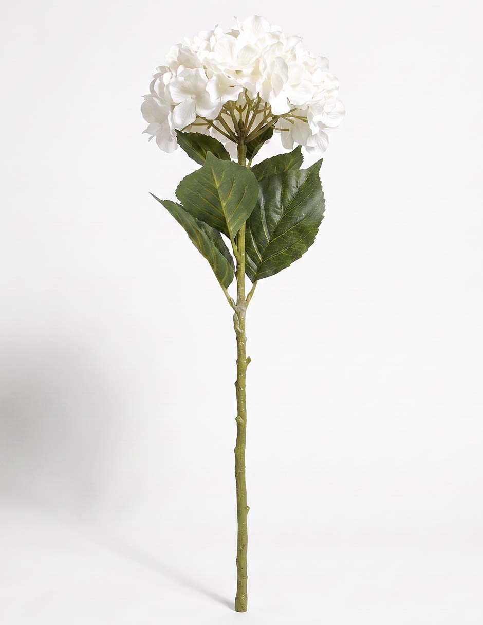 Flor de hortensia 2