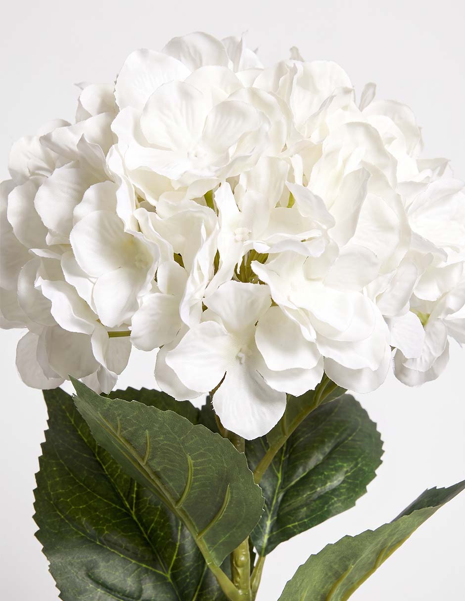 Flor de hortensia 3