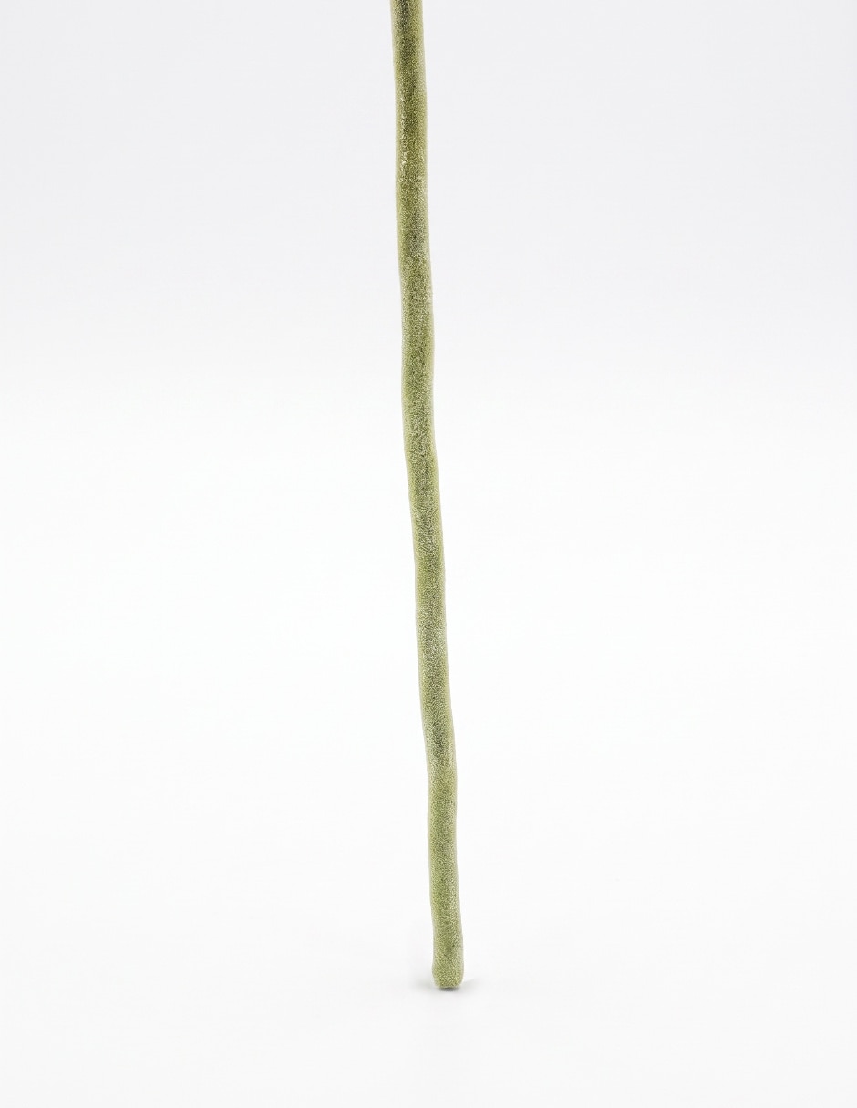 Flor de gerbera 4