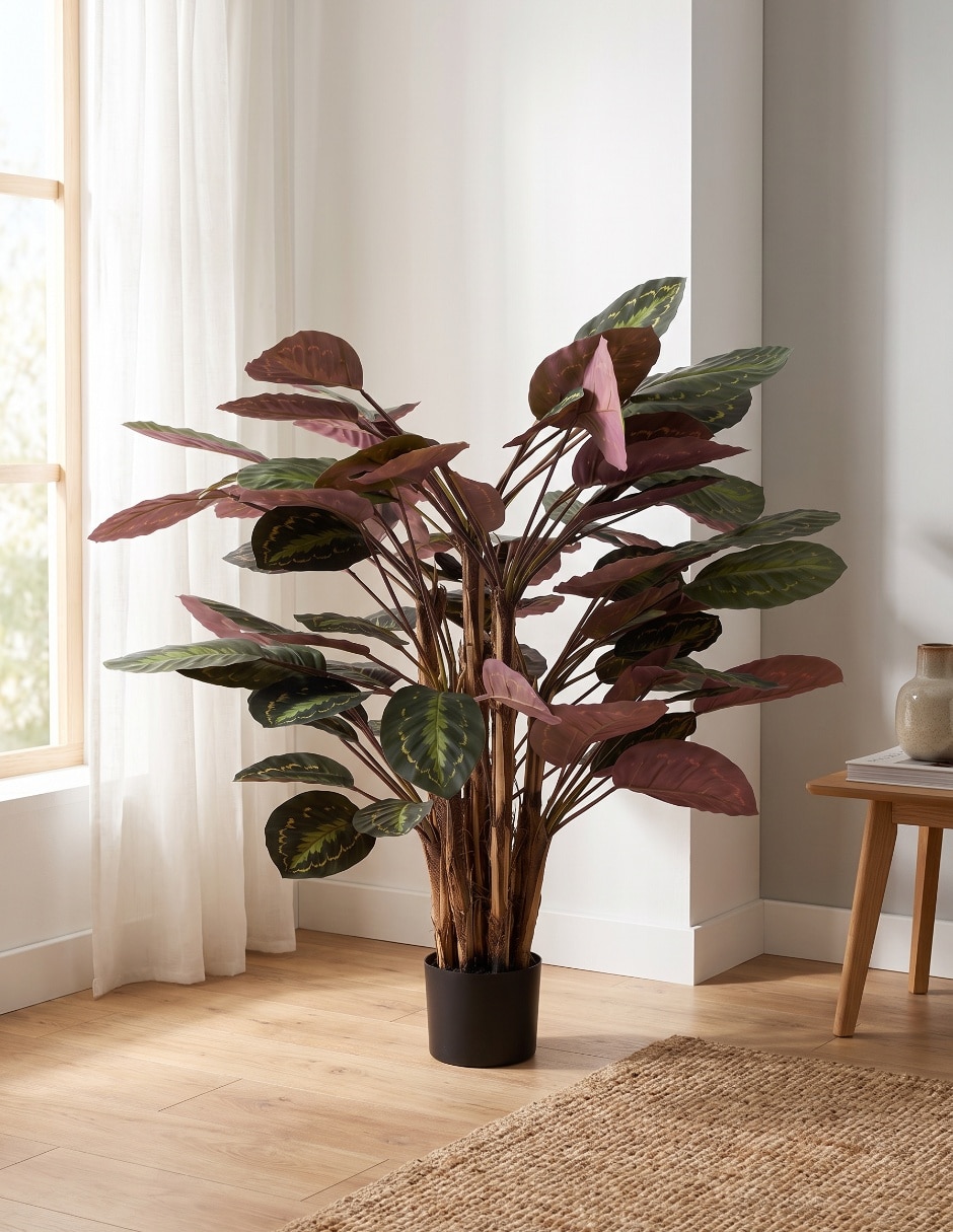Árbol calatea mp 1.3 m con maceta 5