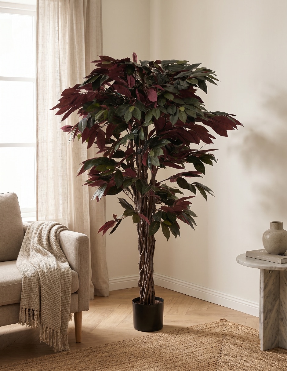 Árbol ficus mp 1.5 m con maceta 5