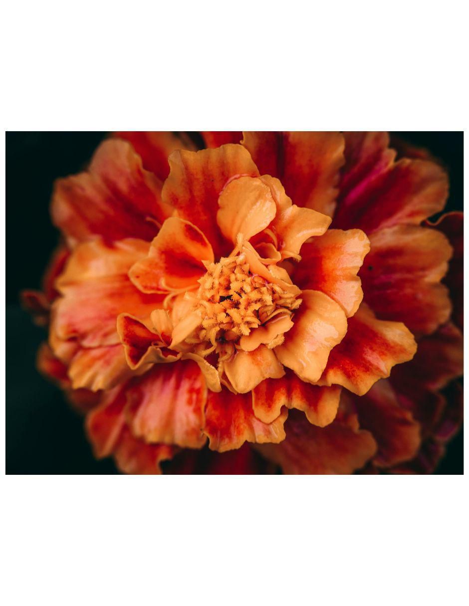 Cuadro decorativo 1