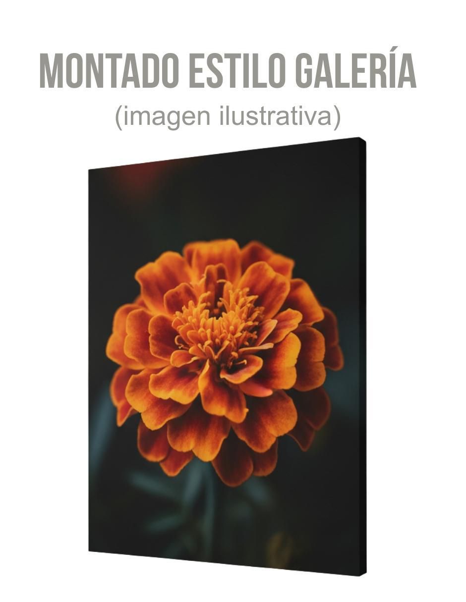 Cuadro decorativo 2