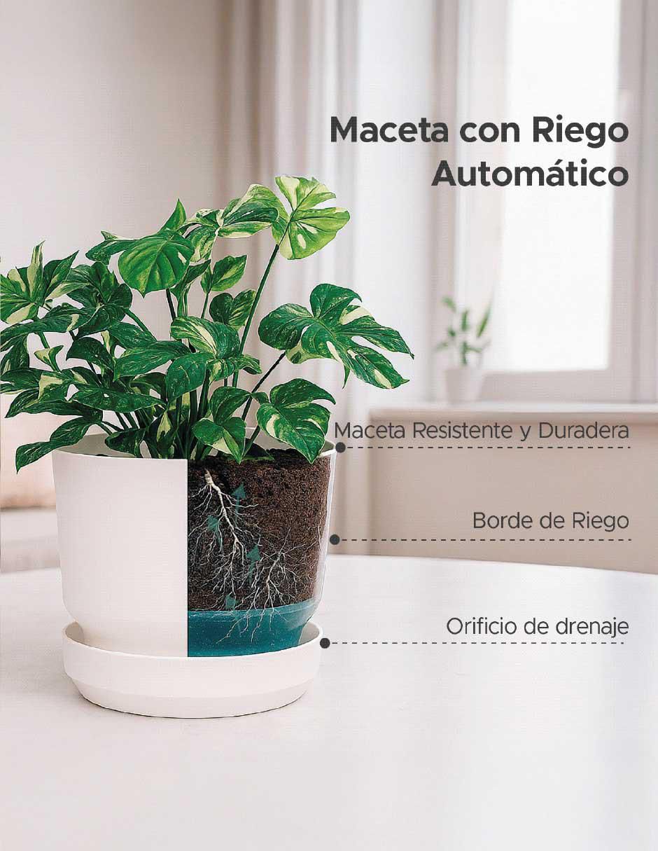 Set de macetas Elly de plástico con sistema automático de riego