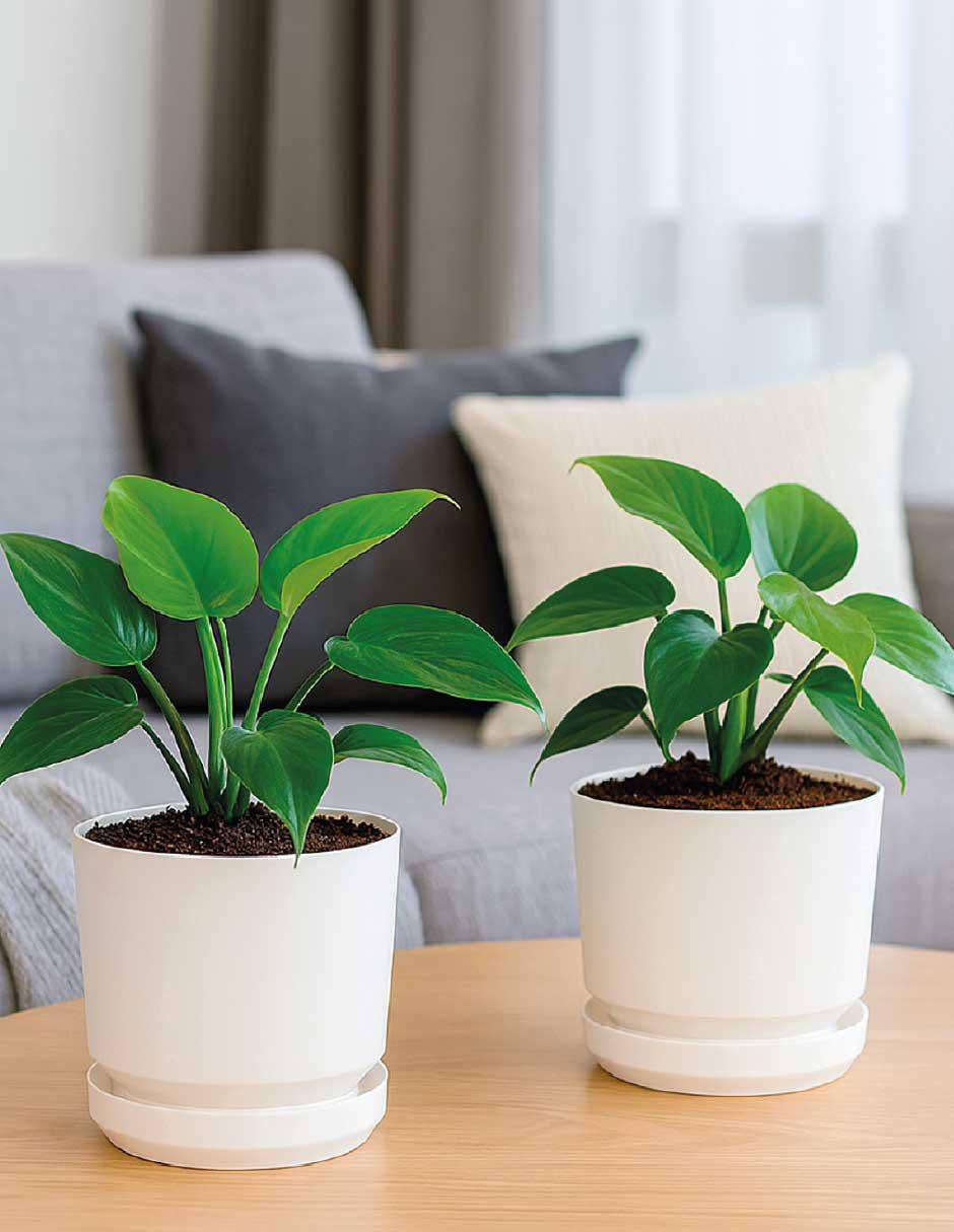 Set de macetas Elly de plástico con sistema automático de riego