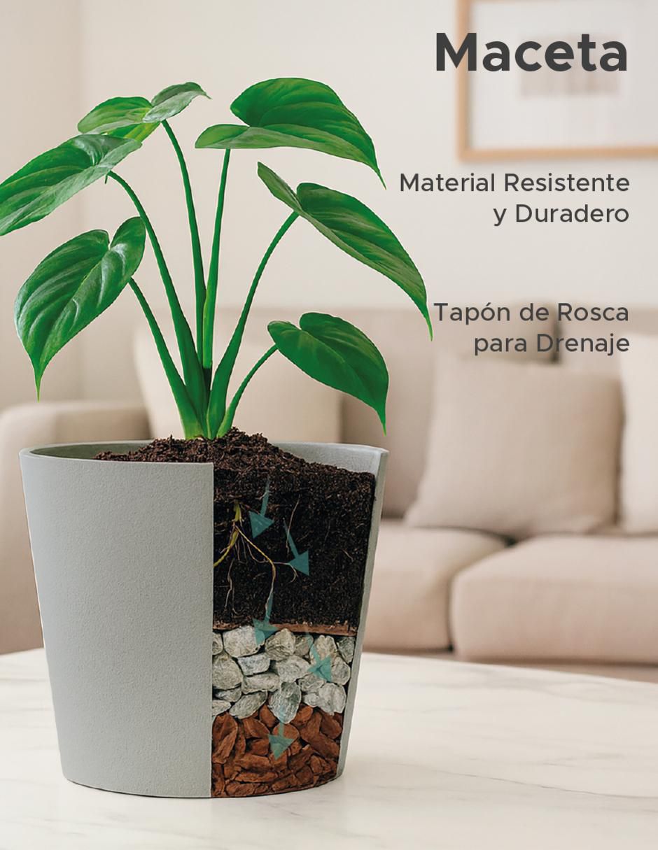 Maceta Cónica Gerbera de plástico 5