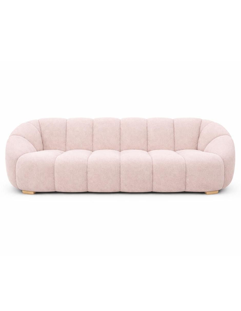 Rosa 5