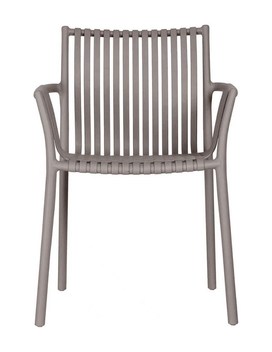 Silla Palma Silla Palma