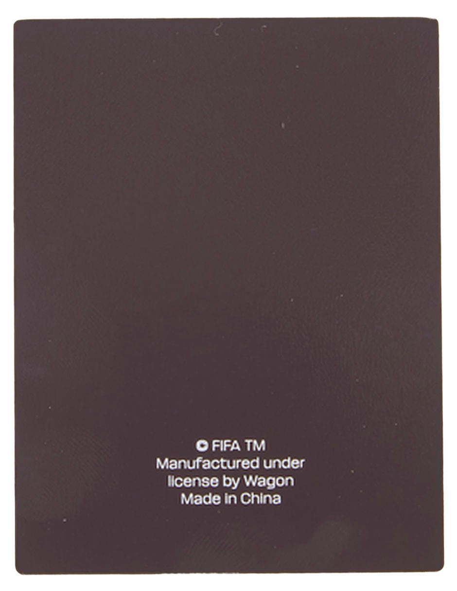 Fifa World Cup
