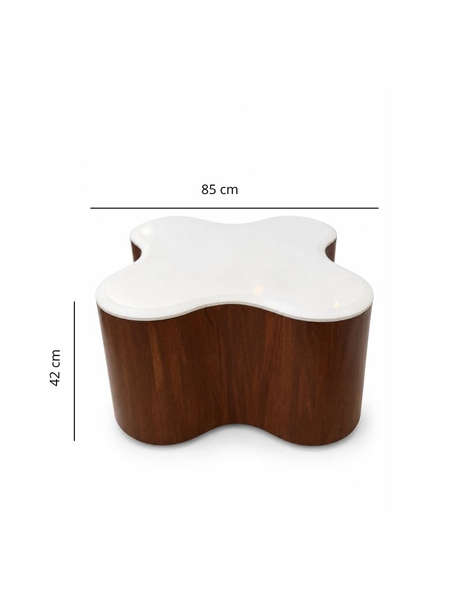 Mesa de centro tonda de madera parota