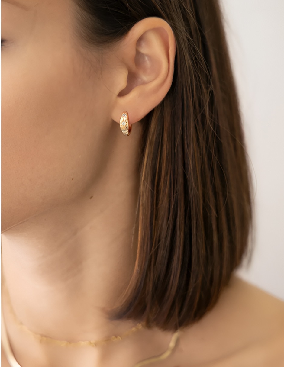 Aretes cortos circular zirconia 2
