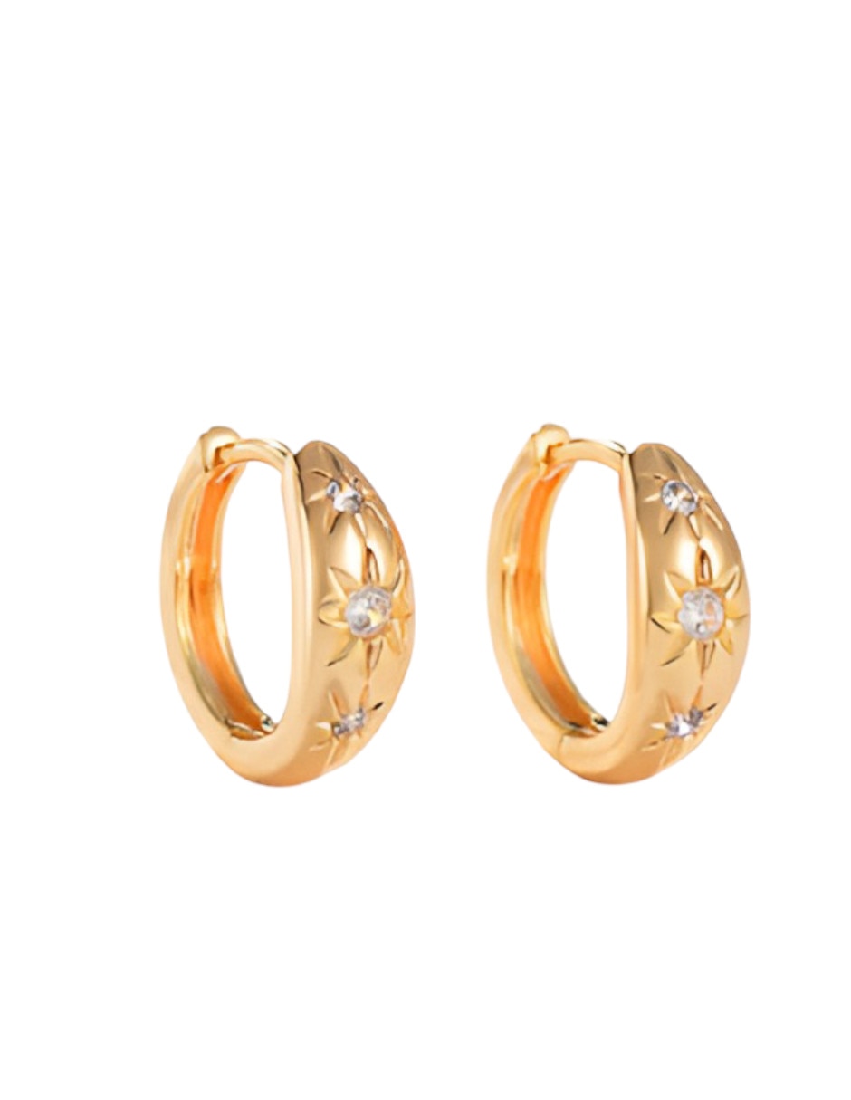 Aretes cortos circular zirconia 3