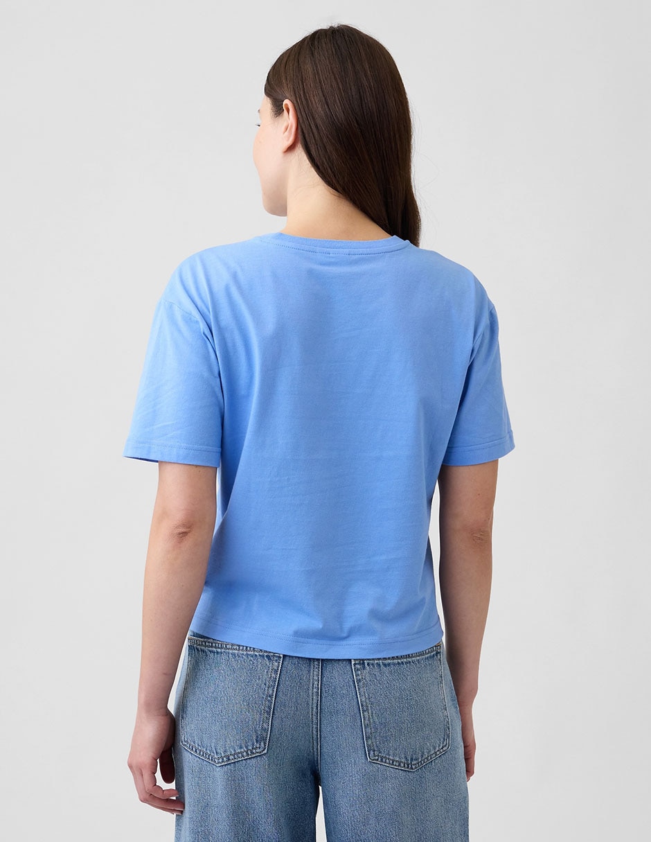 Playera 2