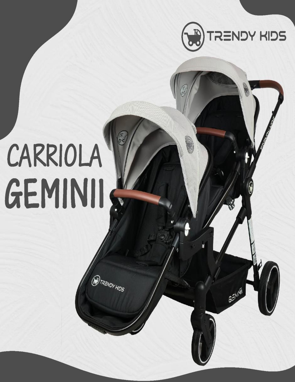 Carriola doble 5