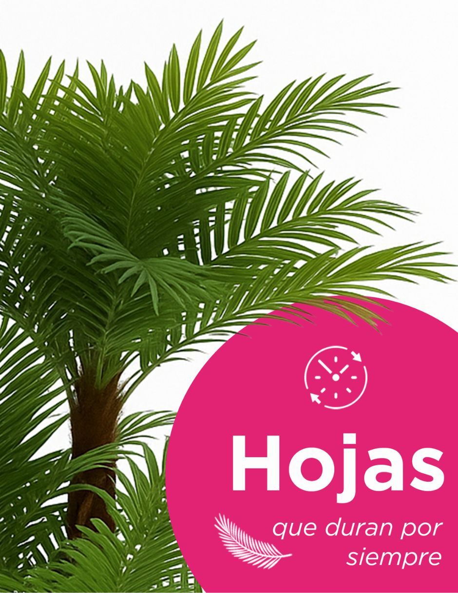 Palmera Natural 5