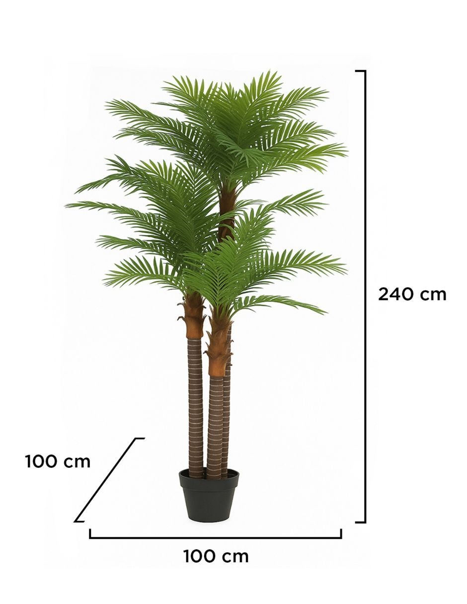 Palmera Natural 4