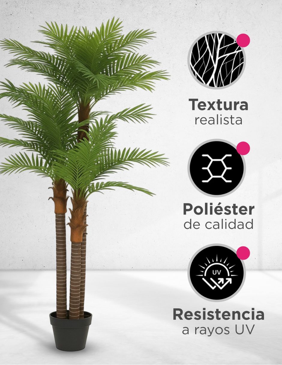 Palmera Natural 2