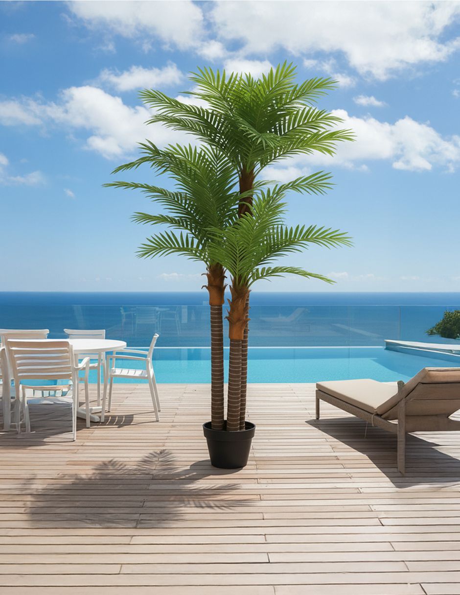 Palmera Natural 3