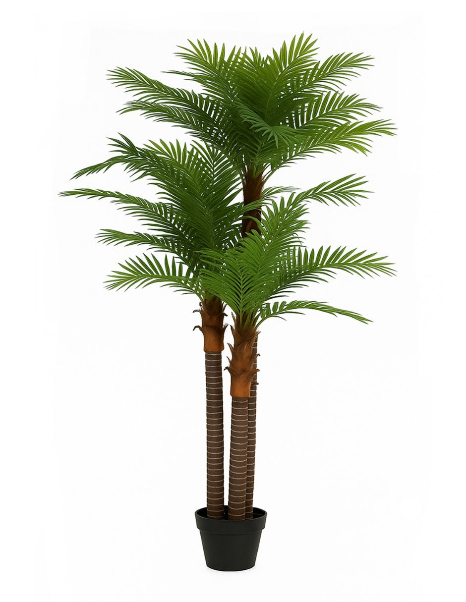 Palmera Natural Palmera Natural