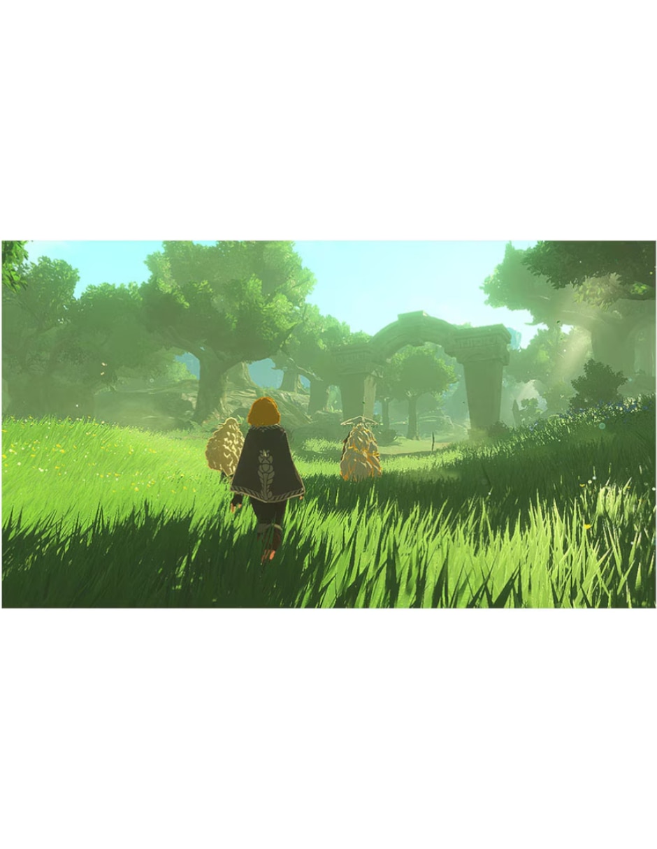 Hyrule Warriors: Age of Imprisonment Nintendo Bundle para Nintendo Switch 2