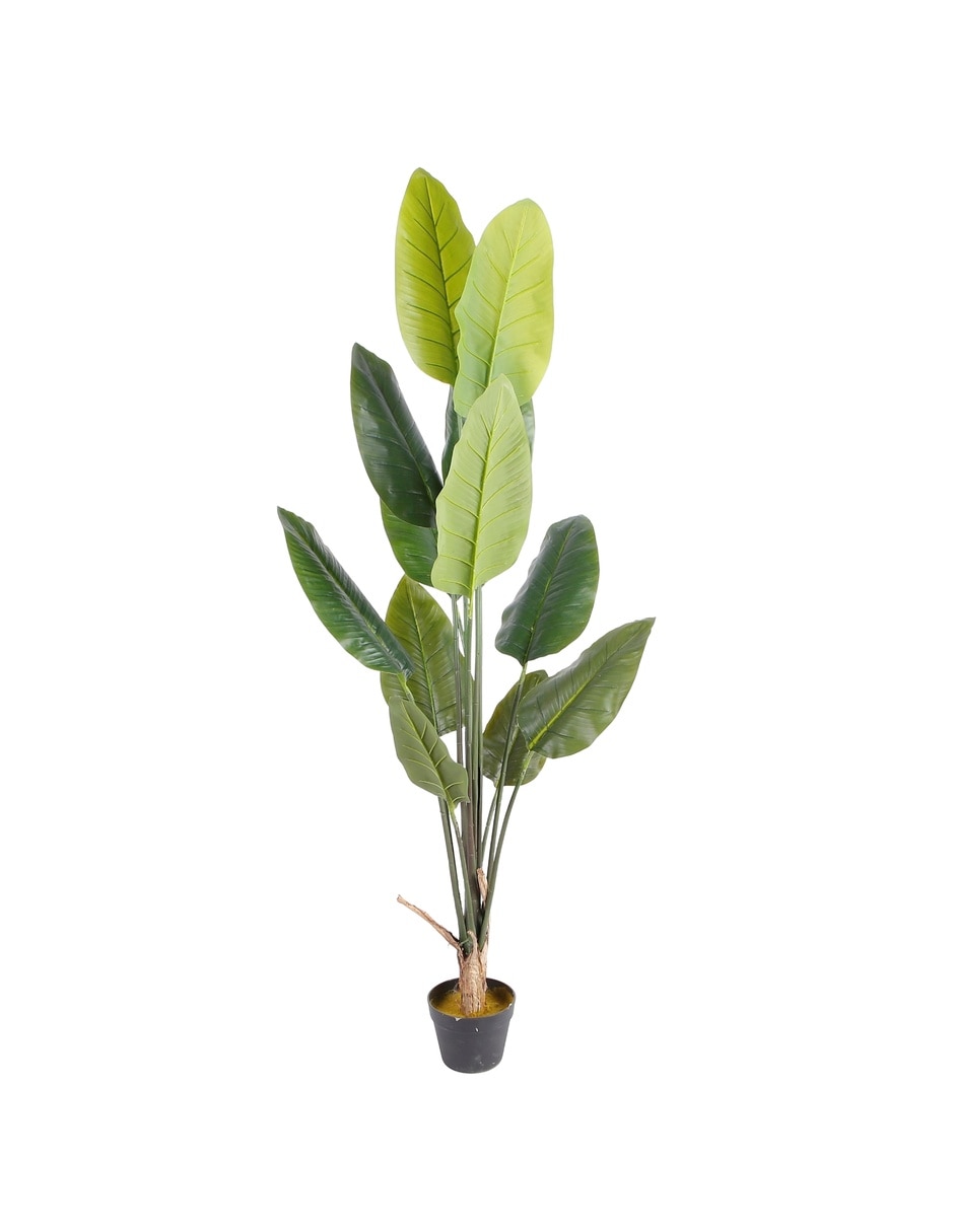 Planta artificial ave paraíso natural |tatch Planta artificial ave paraíso natural |tatch