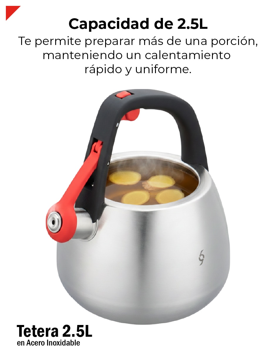 Tetera silbadora Bogner de acero inoxidable