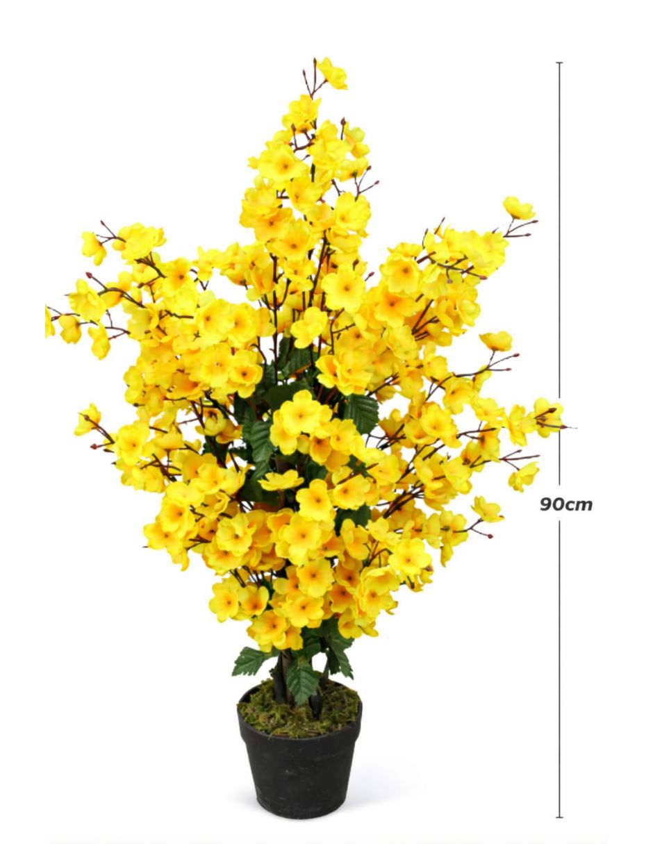 Acacia natural Vanlig