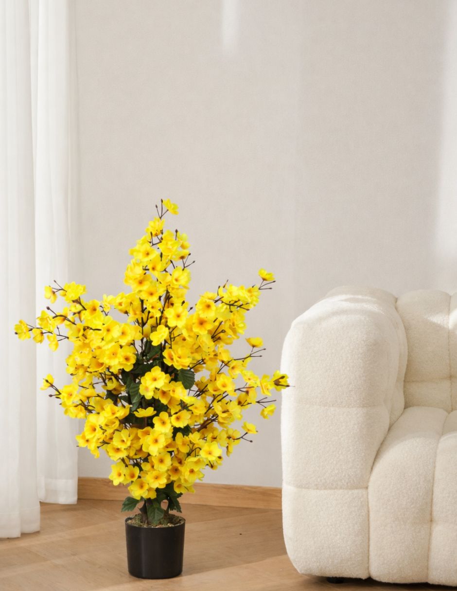 Acacia natural Vanlig