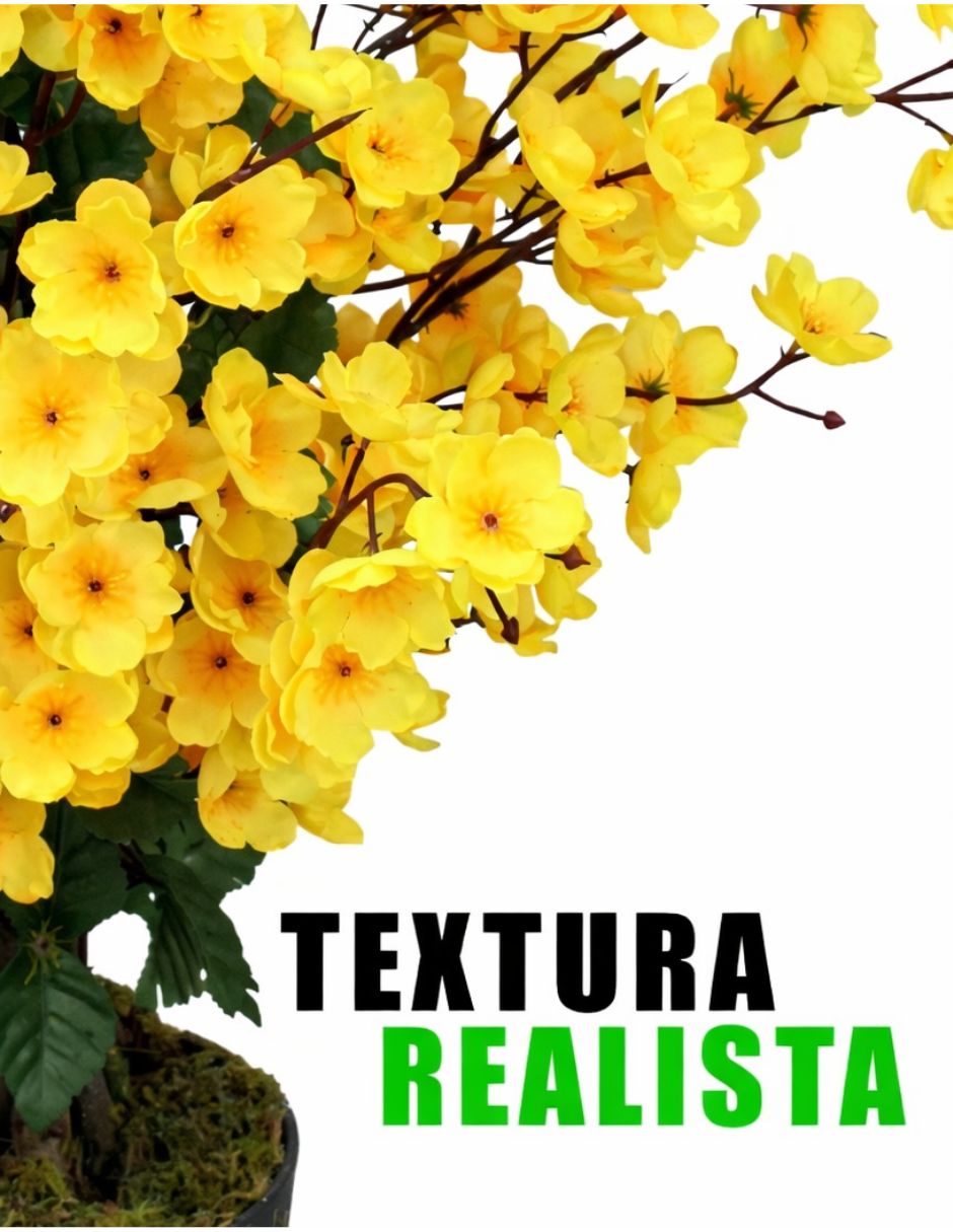 Acacia natural Vanlig