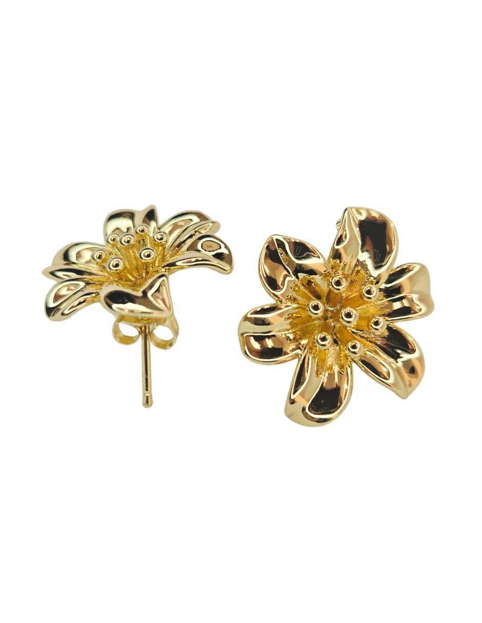 Broqueles de flor Maria Rayuela de oro laminado 18 k con acabado brillante