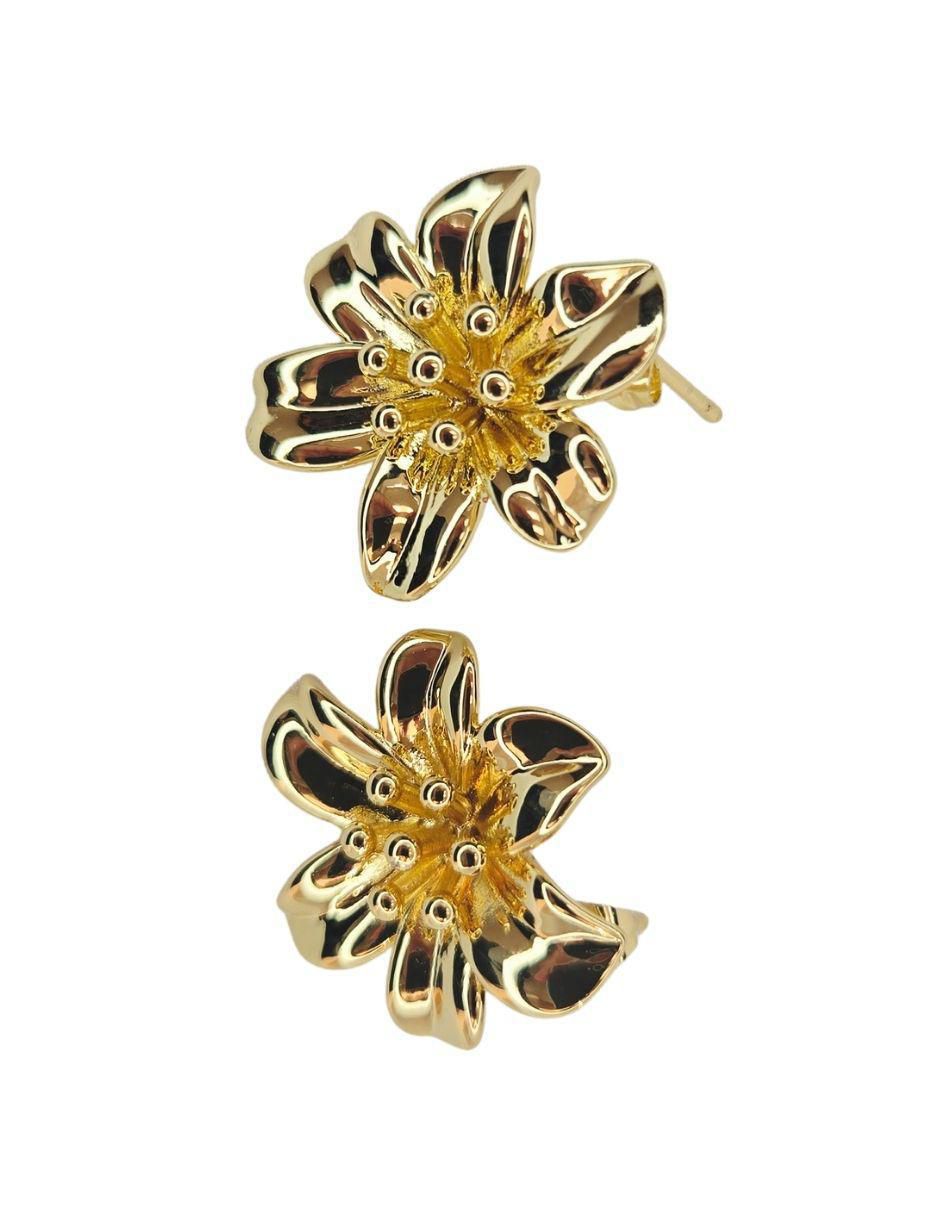 Broqueles de flor Maria Rayuela de oro laminado 18 k con acabado brillante