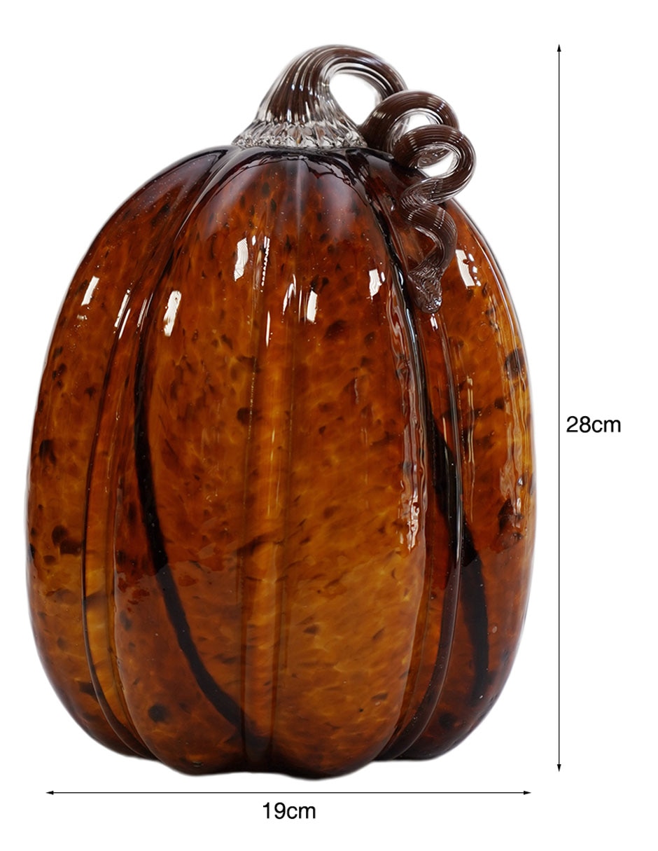 Figura 5