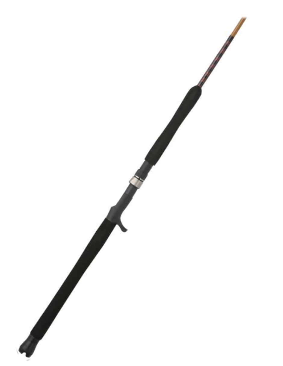 Caña Shakespeare USTEJG100200C
