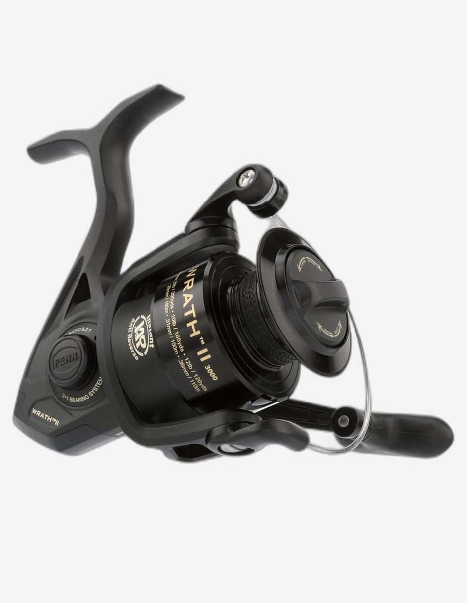 Imagen de producto Carrete de pesca Penn WRTHII4000C